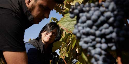 Tecnovino Bodegas Montecillo vino de Rioja 3