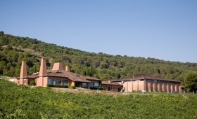 Bodegas y Viñedos Viña Mayor