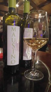 Tecnovino vino experimental Mausino Vina Moraima 2