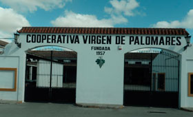 Tecnovino Dcoop Baco Virgen de Palomares 280