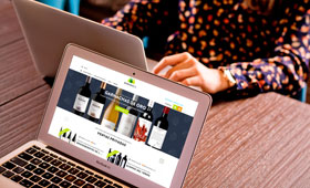 Tecnovino comprador online de vinos Espana Bodeboca 280