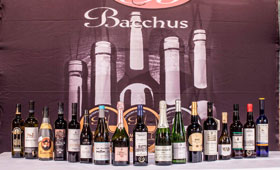 Tecnovino vinos ganadores Premios Bacchus 2017 280