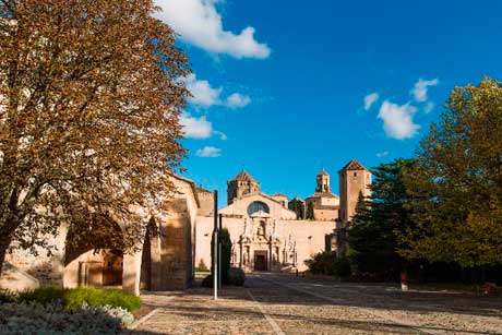 Tecnovino Abadia de Poblet proyecto enologico 1