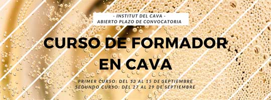 Tecnovino Formador en Cava cursos Institut del Cava 1