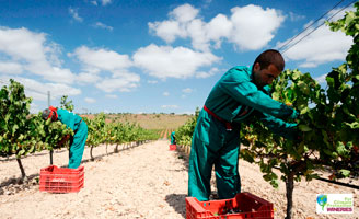 Tecnovino Bodegas Luzon vinos ecologicos 328x200