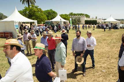 Tecnovino agricultura digital Bayer 3