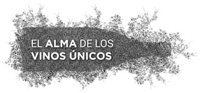 Tecnovino eventos vitivinicolas El Alma de los Vinos Unicos