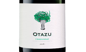 Tecnovino Otazu Chardonnay 2016 Bodega Otazu 328x200