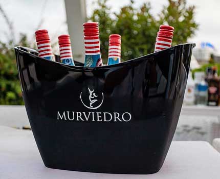 Tecnovino Bodegas Murviedro vinos