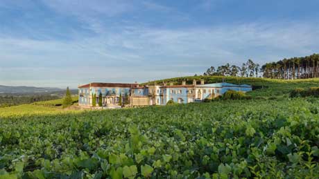 Tecnovino Bodega Gran Bazan