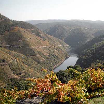 Tecnovino Mencia 2016 Bodegas Maset paisaje