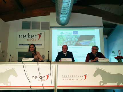 Tecnovino enfermedades de la vid fitosanitarios Neiker Tecnalia 2