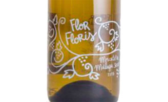 Tecnovino Flor Floris Blanco Joven