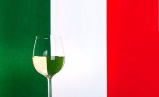 tecnovino catador en vinos italianos2 producción de vino 