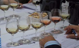 tecnovino concurso vinos me gusta