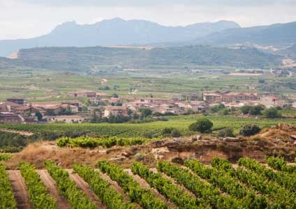 Tecnovino Abra vinos con origen