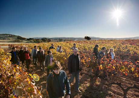 Tecnovino Dia Europeo de Enoturismo Enoturisme Penedes