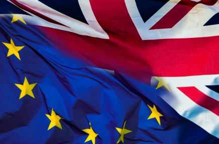 tecnovino sector del vino Brexit