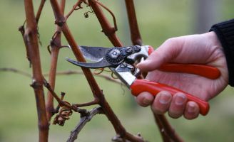 tecnovino calentamiento climatico 1