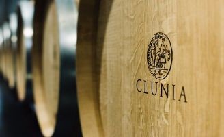 tecnovino clunia malbec