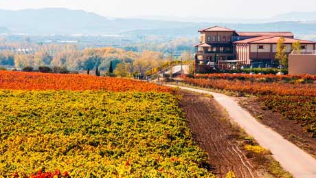 Tecnovino Bodegas Manzanos 1