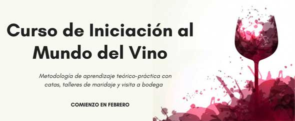 Tecnovino Curso de Iniciacion al Mundo del Vino ESHBI