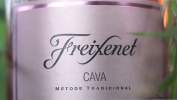 Tecnovino Guia de vinos 2018 OCU Freixenet Rosado