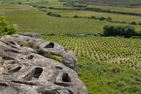 Tecnovino Ruta del Vino de Rioja Alta necropolis