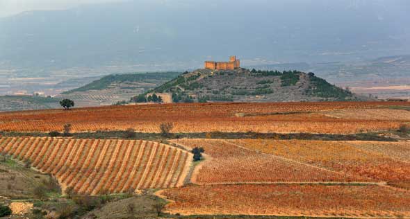 Tecnovino Ruta del Vino de Rioja Alta paisaje 2