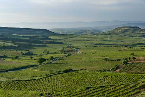 Tecnovino Ruta del Vino de Rioja Alta paisaje