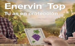 Tecnovino Enervin Top de Basf