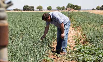 Tecnovino nueva PAC Cooperativas Agro alimentarias Castilla La Mancha