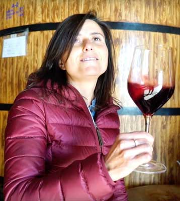 Tecnovino vinos con nombre de mujer Elena Pacheco