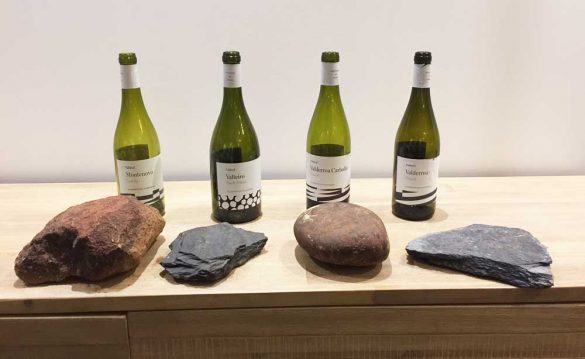 Tecnovino vinos de Valdesil gama y suelos