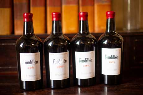 Tecnovino Vinoble 2018 MGWines Fondillon