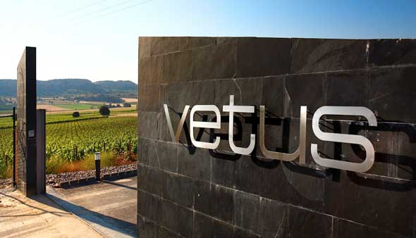 Tecnovino Flor de Vetus Bodegas Vetus