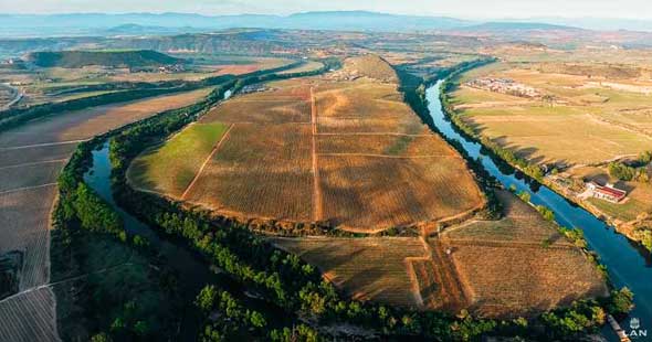 Tecnovino LAN Xtreme Ecologico Crianza 2014 Finca Vina Lanciano