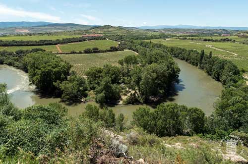 Tecnovino Valdelana enoturismo vinedo vistas