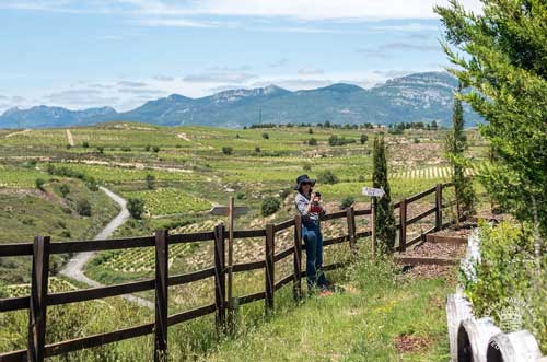 Tecnovino Valdelana enoturismo vinedo