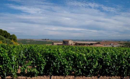 Tecnovino bodega Purgatori de Familia Torres 2