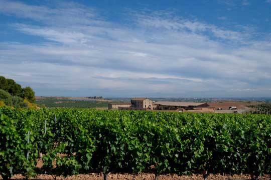 Tecnovino bodega Purgatori de Familia Torres 2