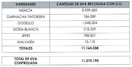 Tecnovino D.O. Bierzo