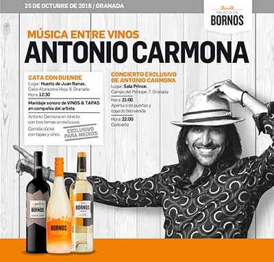 Tecnovino eventos y ferias vitivinicolas Musica entre vinos Bornos