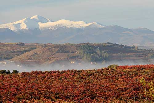 Tecnovino Congreso Internacional de Enoturismo 2019 IWINETC Rioja Alavesa