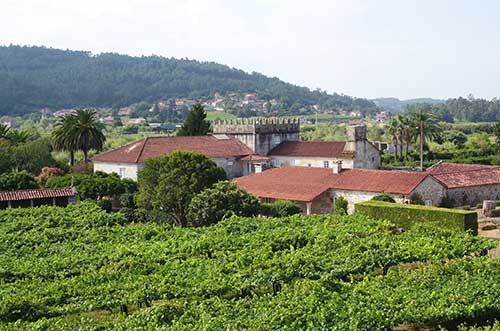 Tecnovino vino de granito Familia Torres Pazo Torre Penelas 3