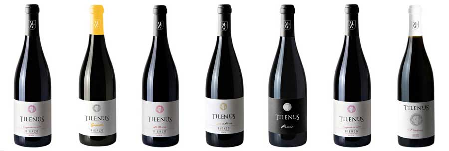 Tecnovino vinos de MGWines Bierzo