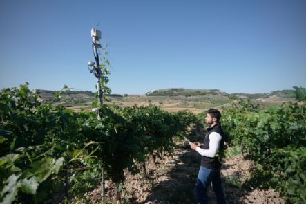 Tecnovino Pago de Carraovejas