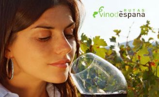 Tecnovino Rutas del Vino de España