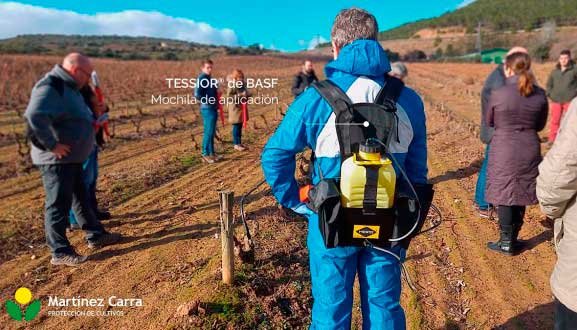 Tecnovino Tessior Basf enfermedades de madera de la vid 1