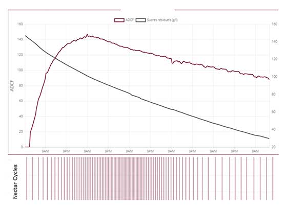 Tecnovino fermentador automatico WebNectarPlus Parsec grafico